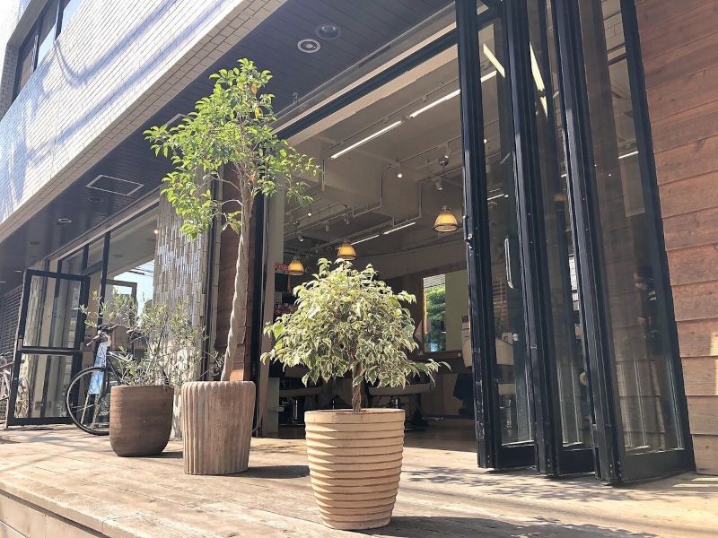 Logueの陽の光が差し込む開放的な店内